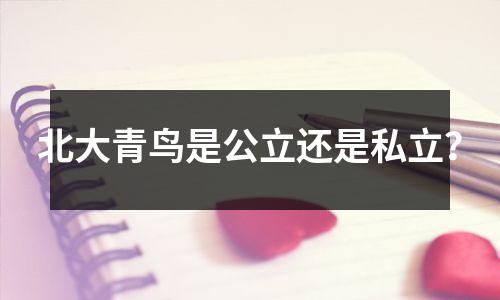 北大青鸟是公立还是私立?