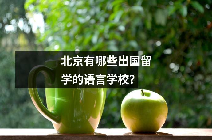 北京有哪些出国留学的语言学校?