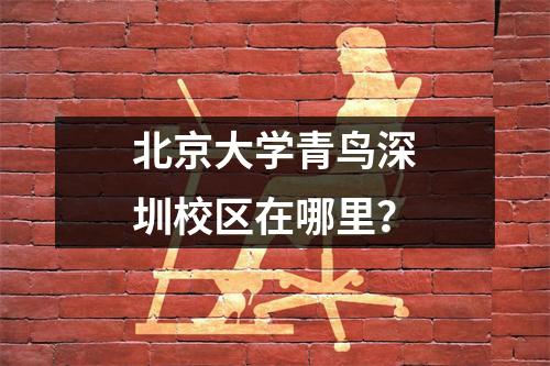 北京大学青鸟深圳校区在哪里?