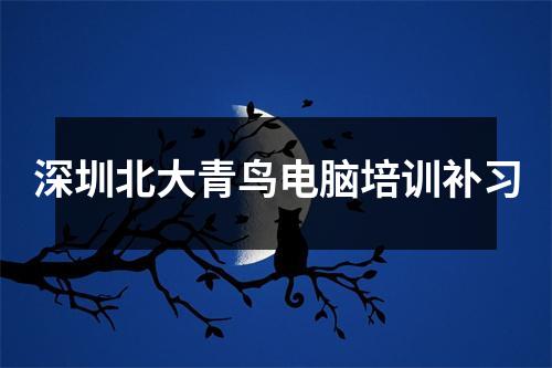 深圳北大青鸟电脑培训补习