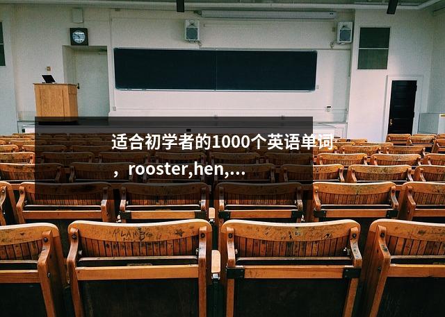 适合初学者的1000个英语单词,rooster,hen,baby Chicken,都有不同的英文名字
