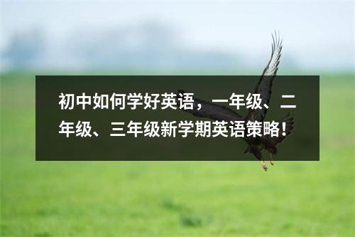 初中如何学好英语,一年级、二年级、三年级新学期英语策略!