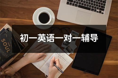初一英语一对一辅导