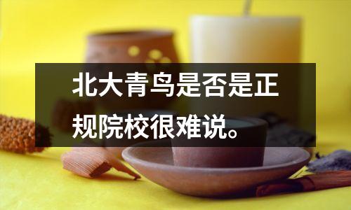 北大青鸟是否是正规院校很难说。