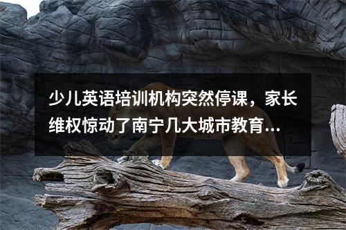 少儿英语培训机构突然停课，家长维权惊动了南宁几大城市教育局。此前有消息称，培训机构拖欠被烫伤儿童的医疗费。