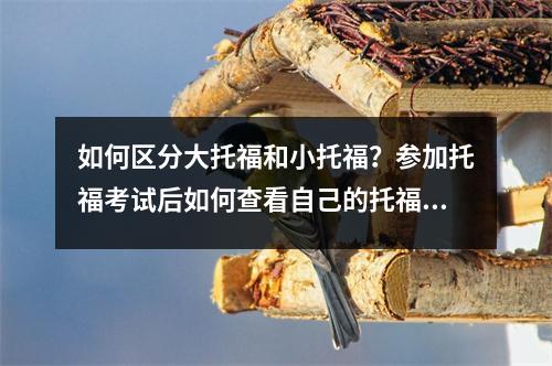 如何区分大托福和小托福?参加托福考试后如何查看自己的托福成绩?