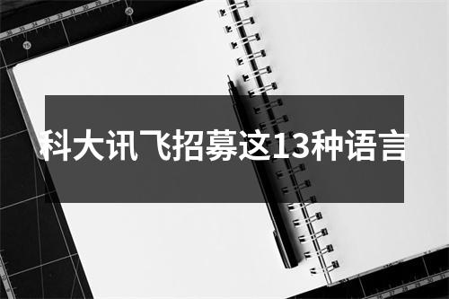 科大讯飞招募这13种语言