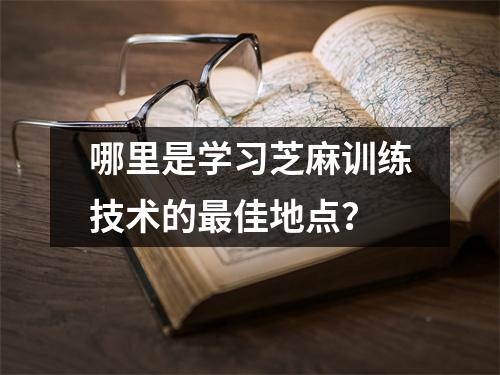 哪里是学习芝麻训练技术的最佳地点？