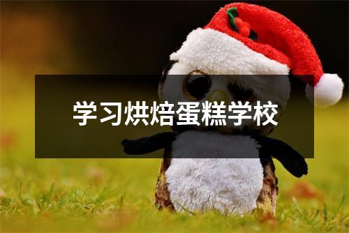 学习烘焙蛋糕学校