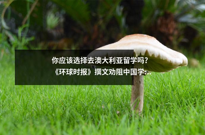 你应该选择去澳大利亚留学吗? 《环球时报》撰文劝阻中国学生出国留学称学历价值低