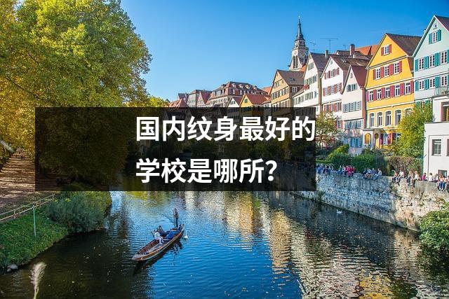国内纹身最好的学校是哪所?