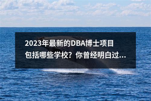 2023年最新的DBA博士项目包括哪些学校?你曾经明白过吗?