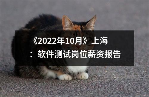《2022年10月》上海:软件测试岗位薪资报告