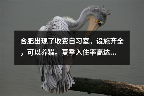 合肥出现了收费自习室。设施齐全，可以养猫。夏季入住率高达90%。