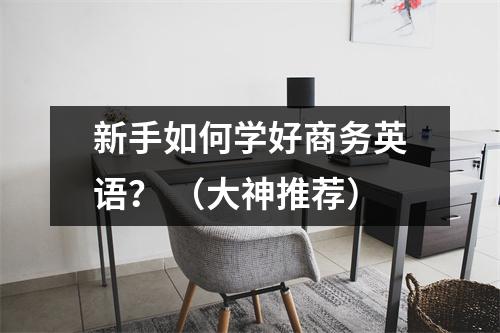 新手如何学好商务英语? (大神推荐)