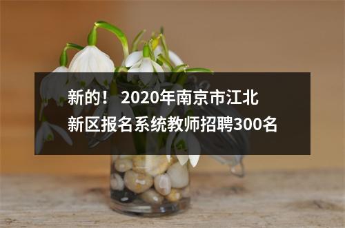 新的! 2020年南京市江北新区报名系统教师招聘300名