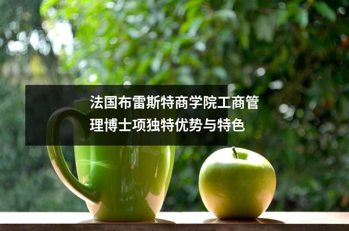法国布雷斯特商学院工商管理博士项独特优势与特色