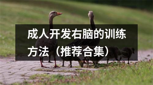 成人开发右脑的训练方法(推荐合集)