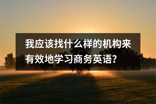 我应该找什么样的机构来有效地学习商务英语?