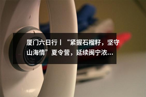 厦门六日行丨“紧握石榴籽,坚守山海情”夏令营,延续闽宁浓浓情意