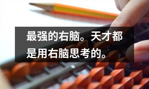 最强的右脑。天才都是用右脑思考的。