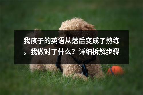 我孩子的英语从落后变成了熟练。我做对了什么？详细拆解步骤