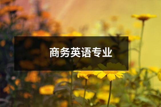 商务英语专业