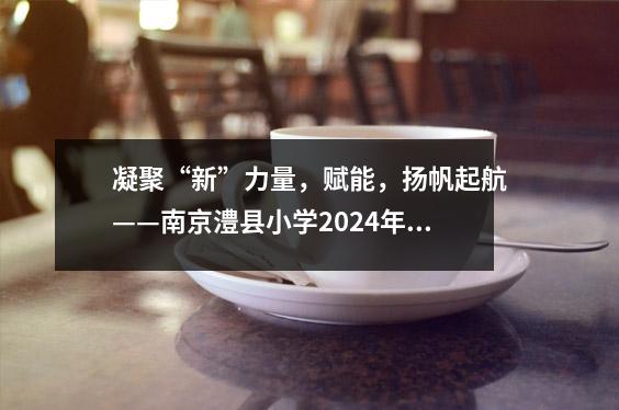 凝聚“新”力量,赋能,扬帆起航——南京澧县小学2024年新教师培训会