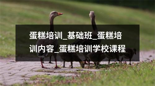 蛋糕培训_基础班_蛋糕培训内容_蛋糕培训学校课程