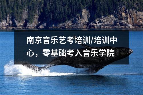 南京音乐艺考培训/培训中心,零基础考入音乐学院