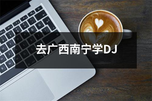 去广西南宁学DJ