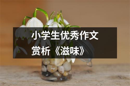 小学生优秀作文赏析《滋味》