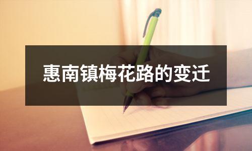 惠南镇梅花路的变迁