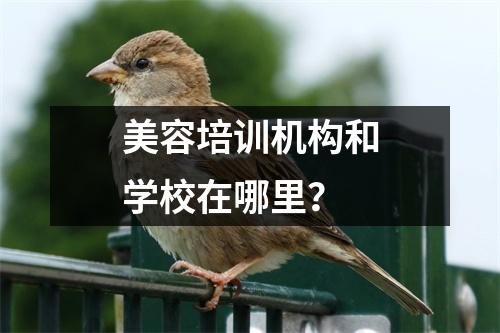 美容培训机构和学校在哪里?