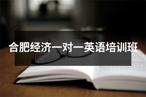 合肥经济一对一英语培训班
