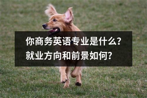 你商务英语专业是什么?就业方向和前景如何?