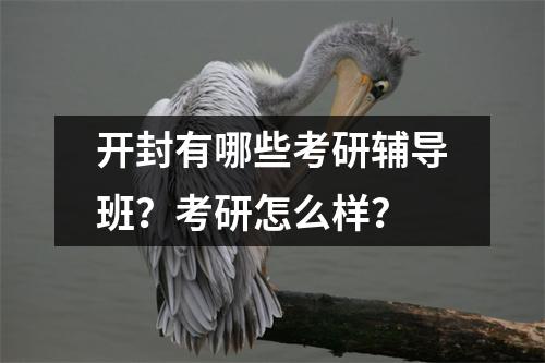 开封有哪些考研辅导班?考研怎么样?