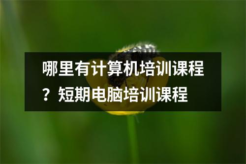 哪里有计算机培训课程?短期电脑培训课程