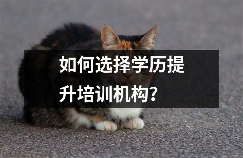 如何选择学历提升培训机构?