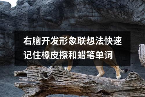 右脑开发形象联想法快速记住橡皮擦和蜡笔单词