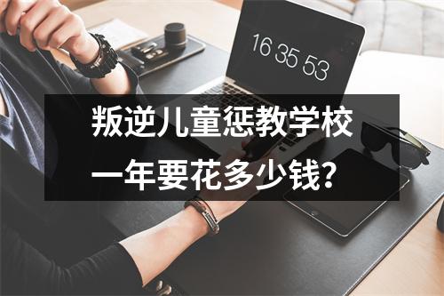 叛逆儿童惩教学校一年要花多少钱？