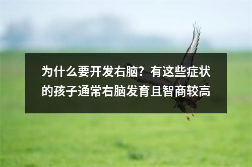 为什么要开发右脑？有这些症状的孩子通常右脑发育且智商较高