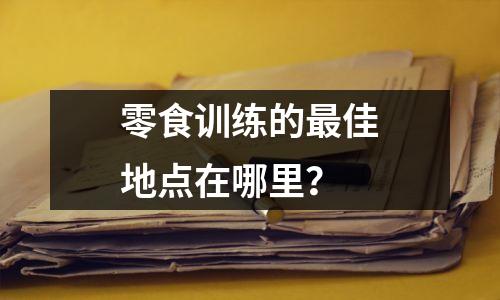 零食训练的最佳地点在哪里?