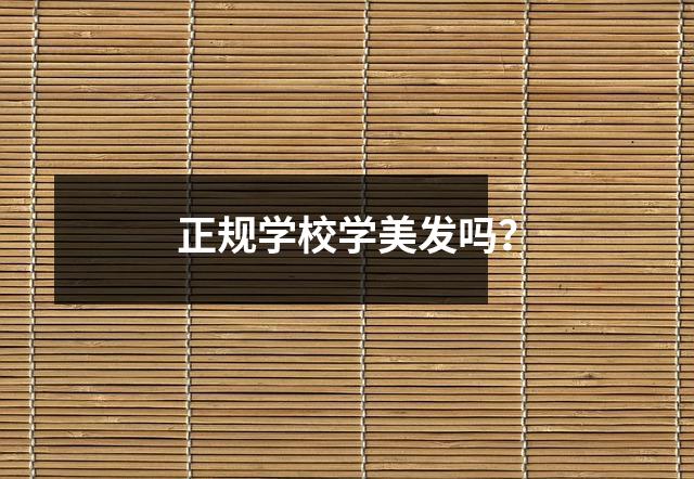 正规学校学美发吗?