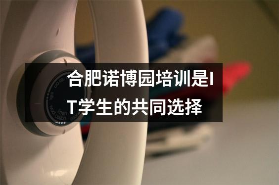 合肥诺博园培训是IT学生的共同选择