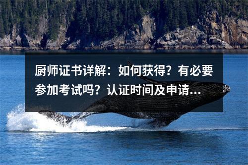 厨师证书详解:如何获得?有必要参加考试吗?认证时间及申请流程