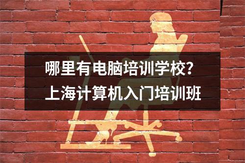 哪里有电脑培训学校?上海计算机入门培训班