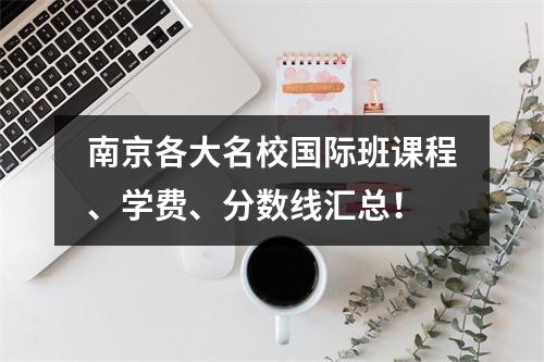 南京各大名校国际班课程、学费、分数线汇总!
