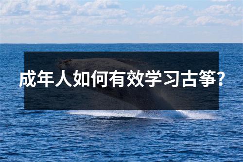 成年人如何有效学习古筝?