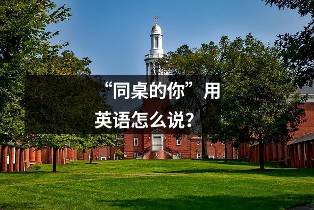 “同桌的你”用英语怎么说？